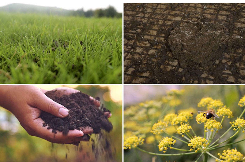 有機(jī)肥行業(yè)資訊：有機(jī)肥代替化肥為啥效果不好？