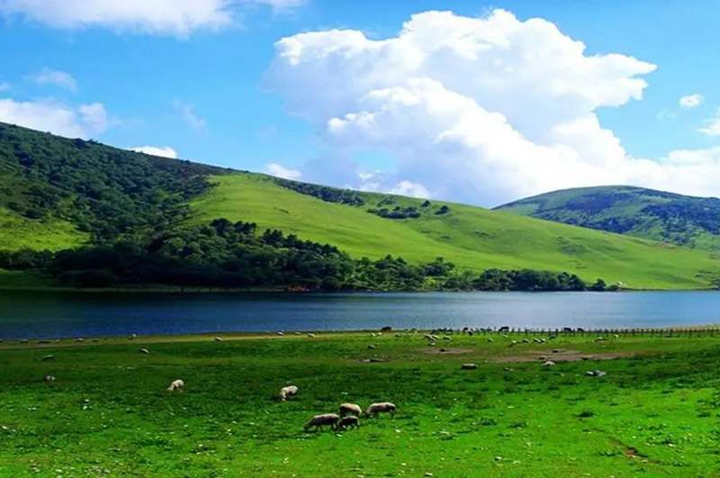 包頭市土默特右旗有機(jī)肥生產(chǎn)線項(xiàng)目