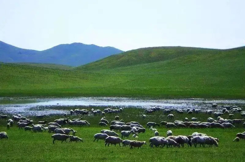 包頭市土默特右旗有機(jī)肥生產(chǎn)線項(xiàng)目