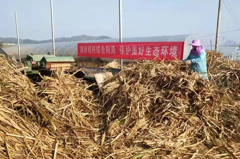 大力推進(jìn)秸稈綜合利用