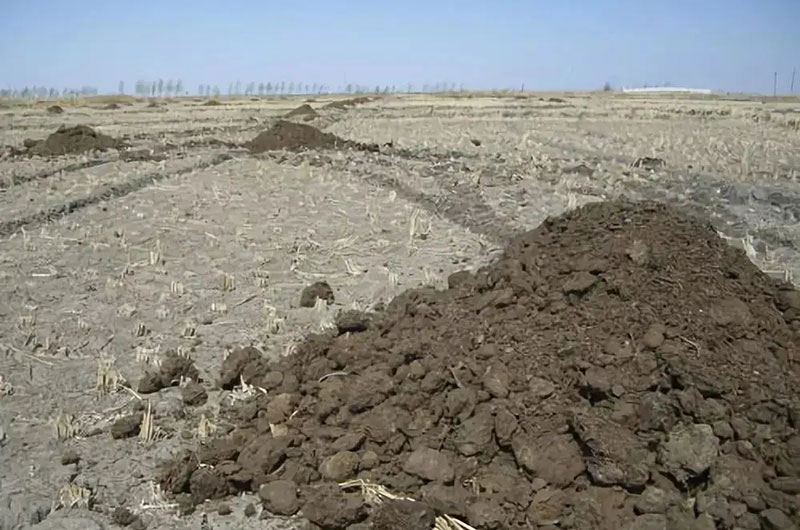 未腐熟糞便有什么危害