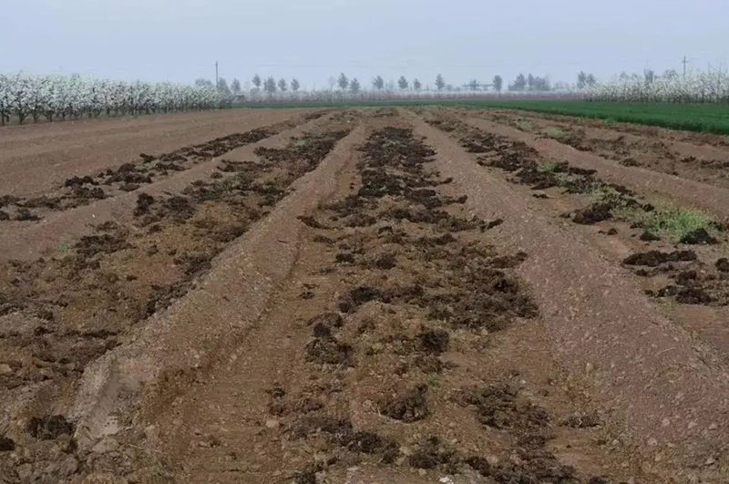 到2025年有機肥施用面積增加占比