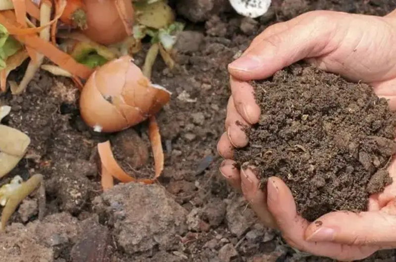 農(nóng)業(yè)廢棄物資源化利用：廢料變肥料，環(huán)保又高效