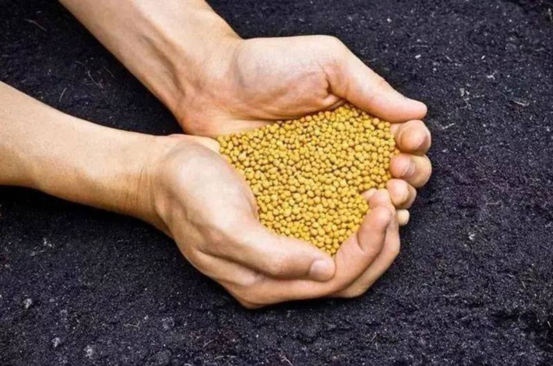 有機肥替代化肥